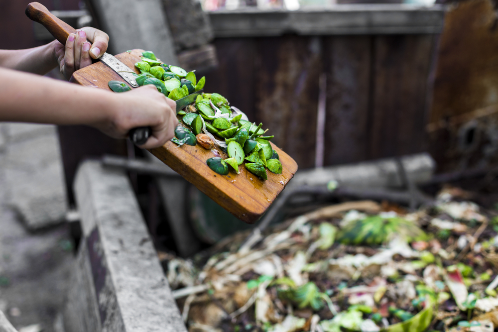 bonnes pratiques jardin